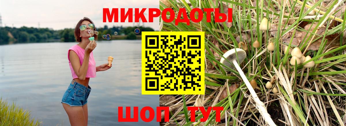 Псилоцибиновые грибы GOLDEN TEACHER Вязьма