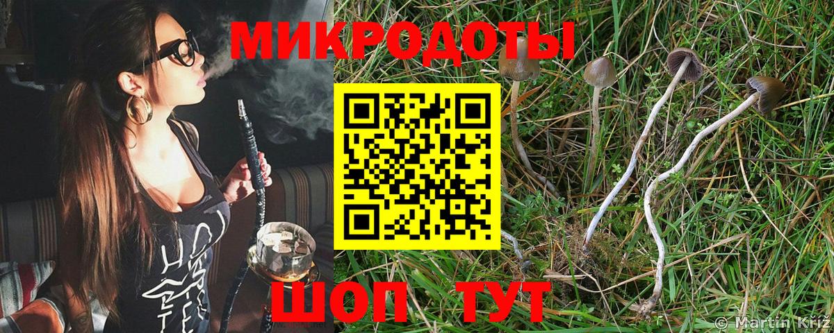 продажа наркотиков  Вход с VPN  Вязьма  Галлюциногенные грибы мухоморы 